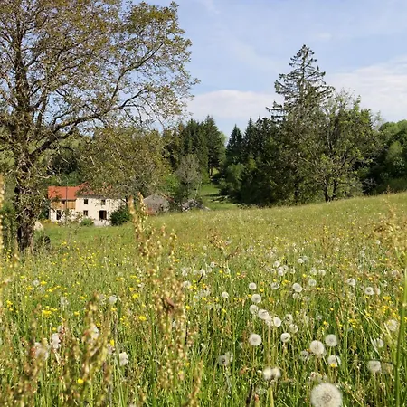 La Ferme De Jean Couette-café Saulxures-sur-Moselotte