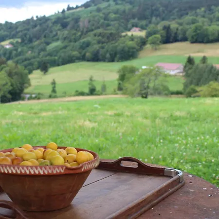 La Ferme De Jean * Saulxures-sur-Moselotte