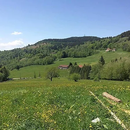 La Ferme De Jean ベッド・アンド・ブレックファスト Saulxures-sur-Moselotte